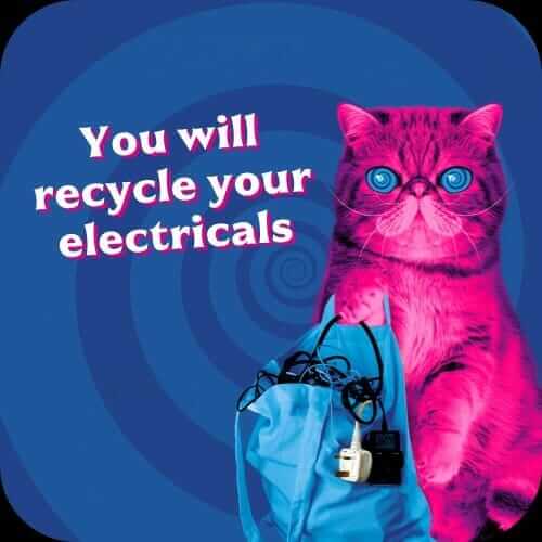 hypnocat says you will recycle your electricals
