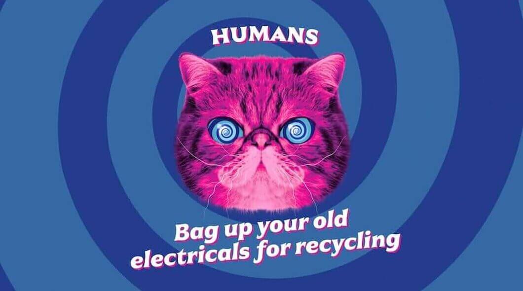 HypnoCat saying 'Human: Bag up your old electricals for recycling'