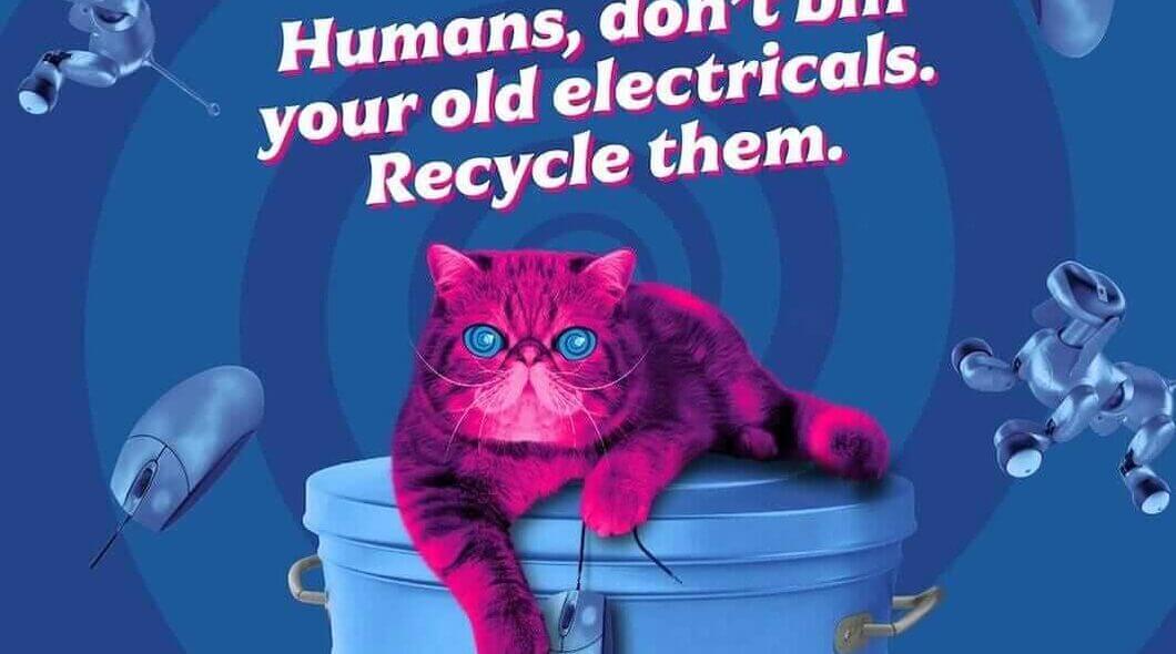 Image of Hypnocat asking humans to bag up their old electricals for recycling