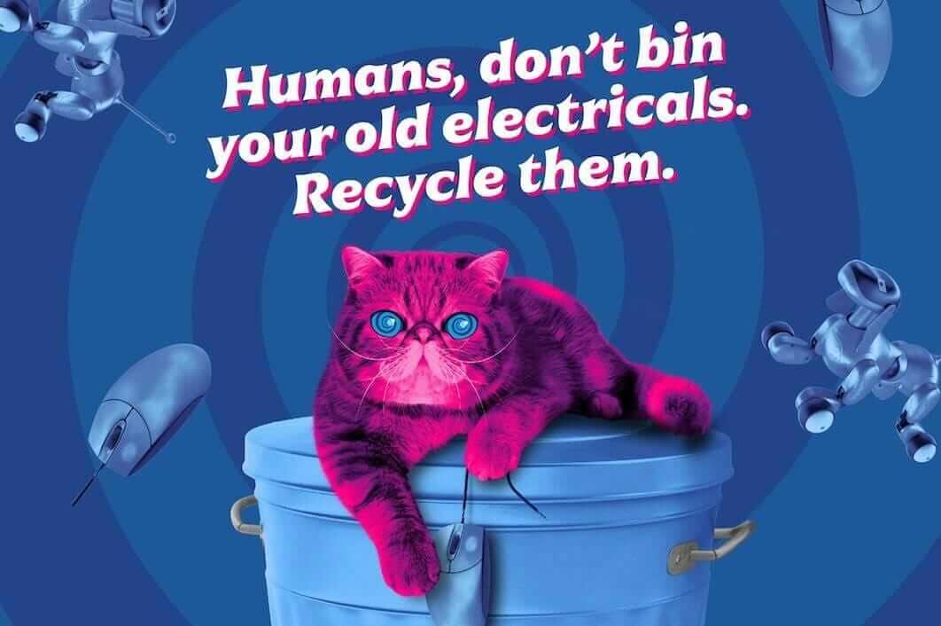 Image of Hypnocat asking humans to bag up their old electricals for recycling