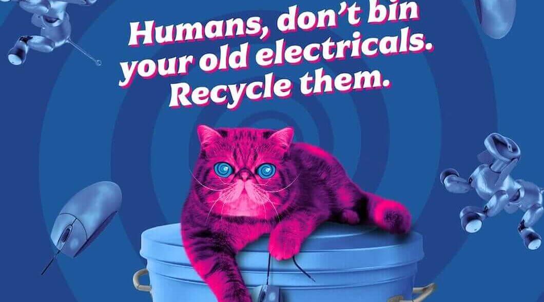 hynpocat lying on bin with electricals