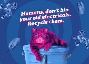 hynpocat lying on bin with electricals HypnoCat saying don't bin electricals