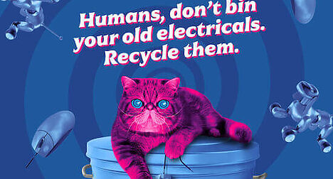 HypnoCat saying don't bin electricals