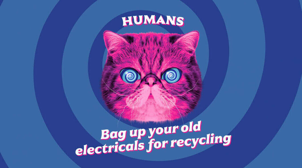 a close up of Hypnocat's big pink head with a caption: bag up your electricals for recycling