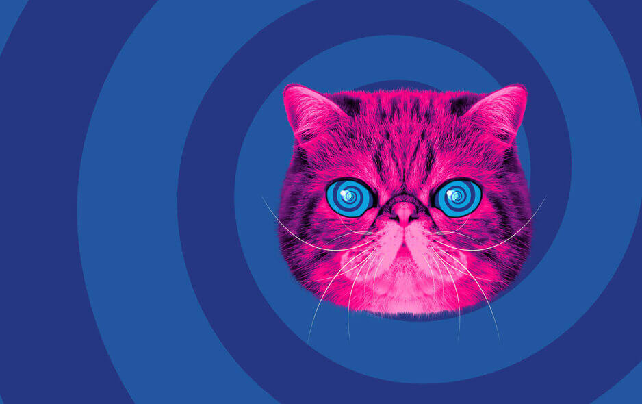 Recycling electric toothbrushes Recycle Your Electricals