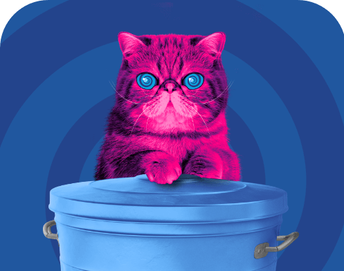 hypnocat resting on a bin